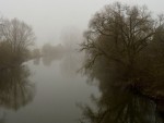 Nebel über der Regnitz
